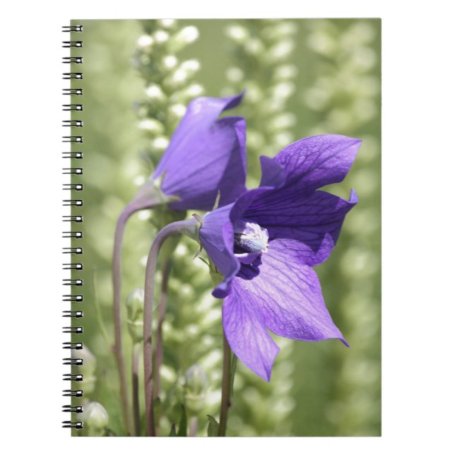 Notebook with Soft Green and Purple Flower (Front)