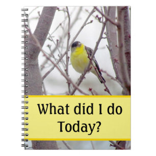Notebook - Yellow Bird in Tree Branches