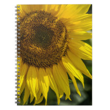 Notebook - Yellow Sunflower