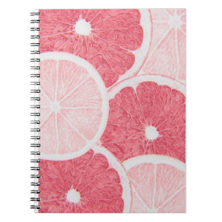 notebooks for school 