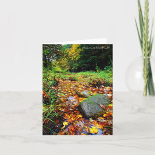 Notecard: Alplaus Kill, Charlton, NY Card