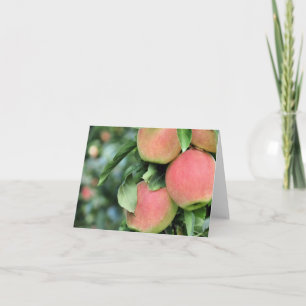 Notecard - Apples