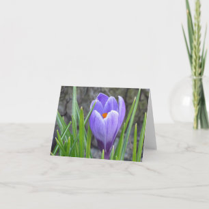 Notecard - Crocus