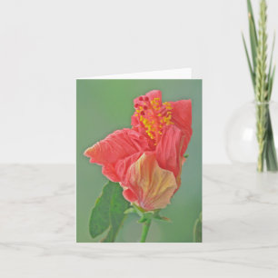 NOTECARD, FLORAL, RED HIBISCUS/TEXTURE CARD