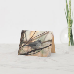 Notecard with Junco