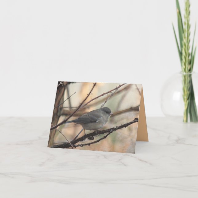 Notecard with Junco (Front)