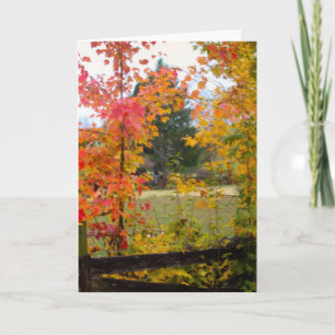 NOTECARD WITH RED TREE