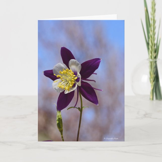 Notecard with Remembrance Columbine (Front)