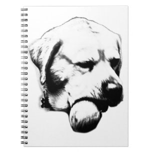 Notes Between Throws Notebook