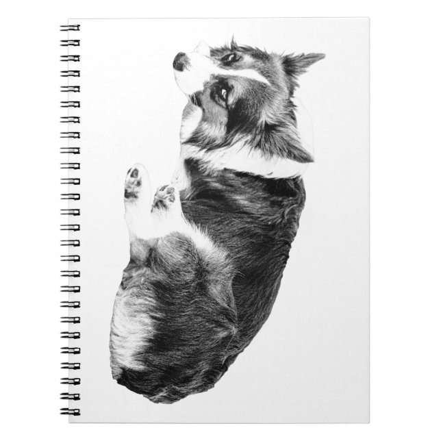 Notes Corgi, Quiet Guide Notebook (Front)