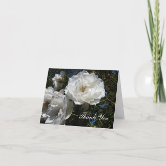 Notes de Merci - roses blancs