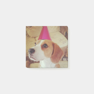 Notes de post-it de beagle d'anniversaire