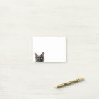 Notes de post-it de chat
