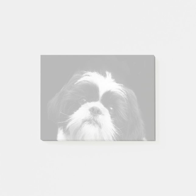 Notes de post-it de chien de Shih Tzu (Devant)