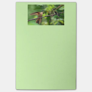 Notes de post-it de colibri