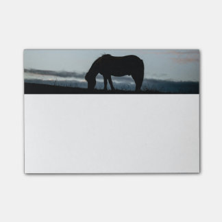 Notes de post-it islandaises de cheval