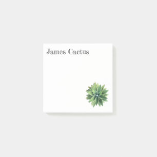 Notes de post-it succulentes d'agave vert
