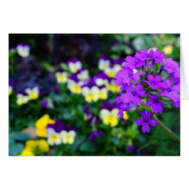 Notes de printemps (Devant horizontal)