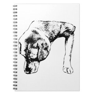 Notes For Quiet Walks Notebook