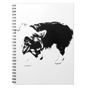 Notes from a Scout Notebook