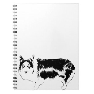 Notes from a Watchful Nugget Notebook