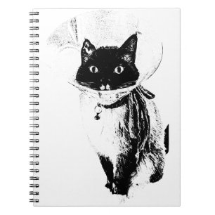 Notes from the Cone Notebook