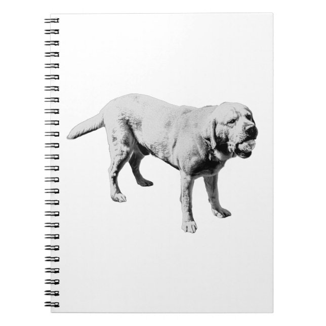 Notes of Play Notebook (Front)