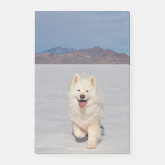 Notes post-it de 4 po x 6 po - Salt Flats