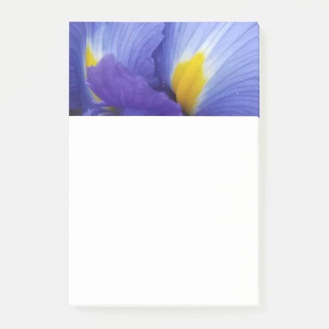 Notes post-it de la fleur bleue Iris 4x6 (Devant)