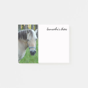 Notes post-it du cheval