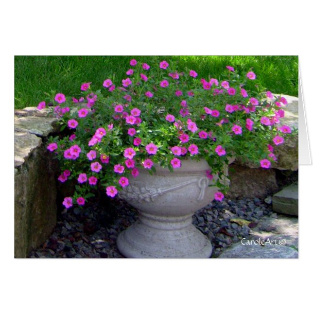 Notes roses de planteur de fleur (Devant horizontal)