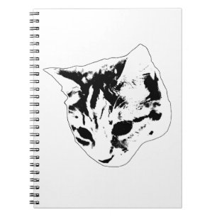 Notes Under Watchful Eyes Notebook