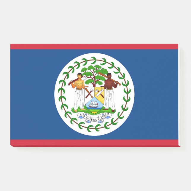 Notes with flag of Belize (Front)