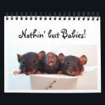Nothin' but Babies! Calendar<br><div class="desc">Chock full of baby rat adorableness for every month of the year!</div>