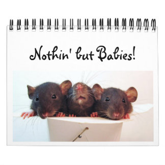 Nothin' but Babies! Calendar