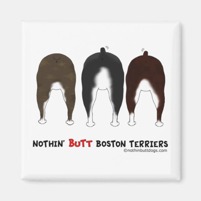 Nothin' Butt Boston Terriers Magnet (Front)