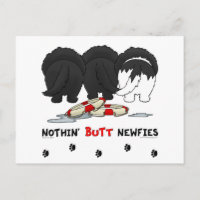Nothin' Butt Newfies