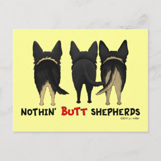 Nothin' Butt Shepherds Postcard