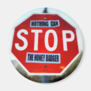 Nothing Can STOP th Honey Badger Magnet