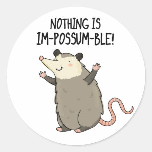 Nothing Is Im-possum-ble Funny Possum Pun  Classic Round Sticker