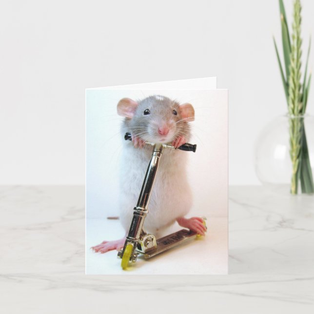 Nothing Is Impossible Card (Front)