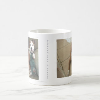 Nothing Like a Sister, Pi and camel, Sassy Magic Mug