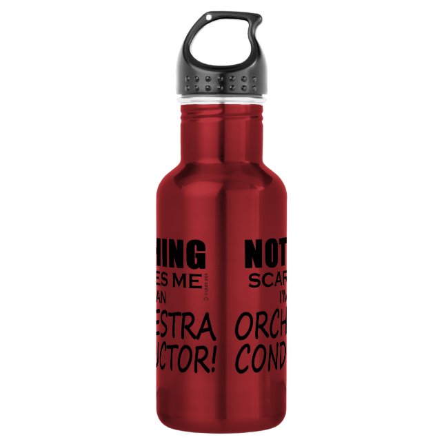 Nothing Scares Me Orchestra Conductor 532 Ml Water Bottle (Front)