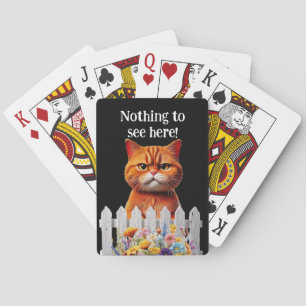 Nothing to see here .. cat humour playing cards