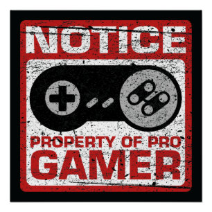 Notice Property Of Pro Gamer Poster
