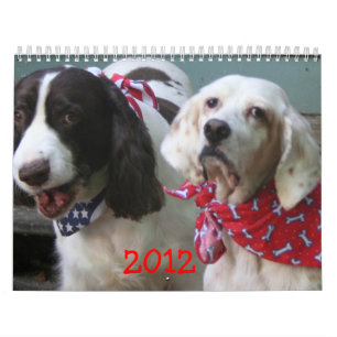 Notre calendrier 2012 de paquet