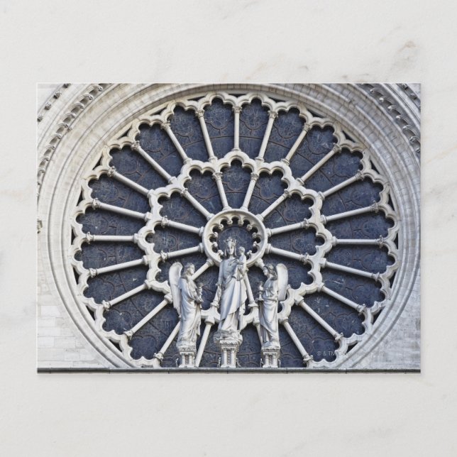 Notre Dame Cathedral, detail Postcard (Front)