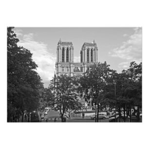Notre Dame de Paris in the environment of trees Photo Print