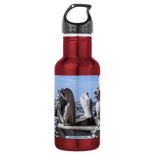 Notre Dame, Paris, France 532 Ml Water Bottle (Front)