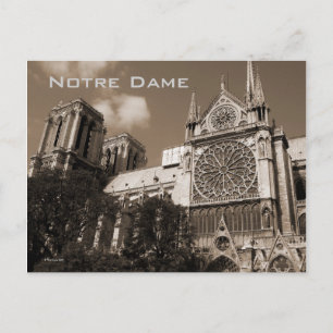 Notre Dame Postcard